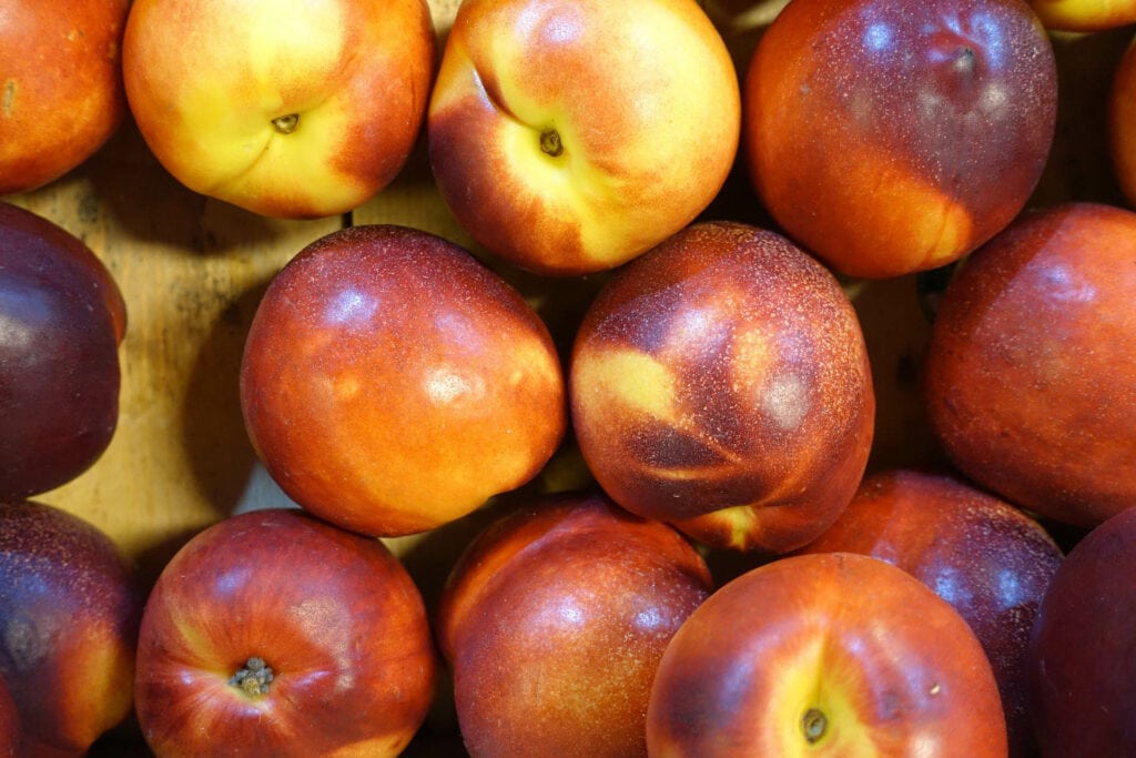 tasty and delicious nectarines