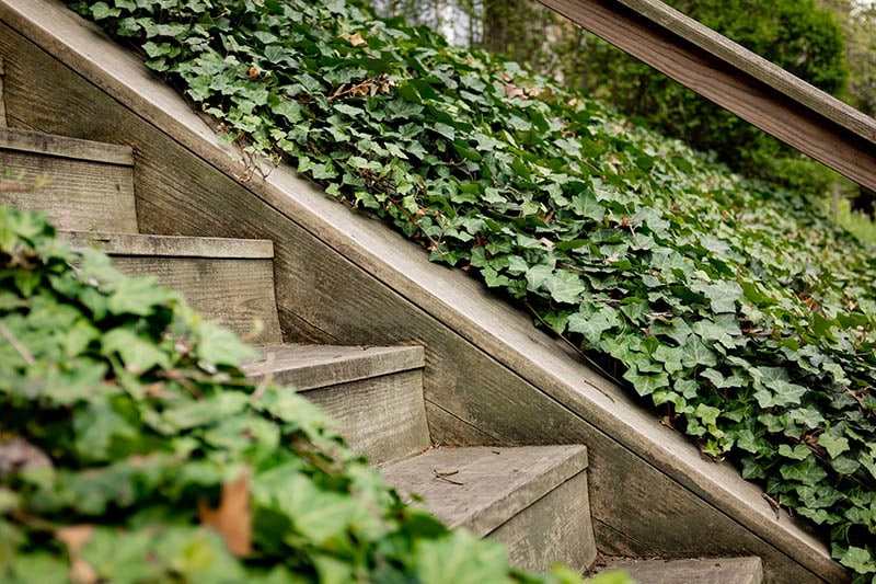 What Are Witches' Stairs? - CitySignal