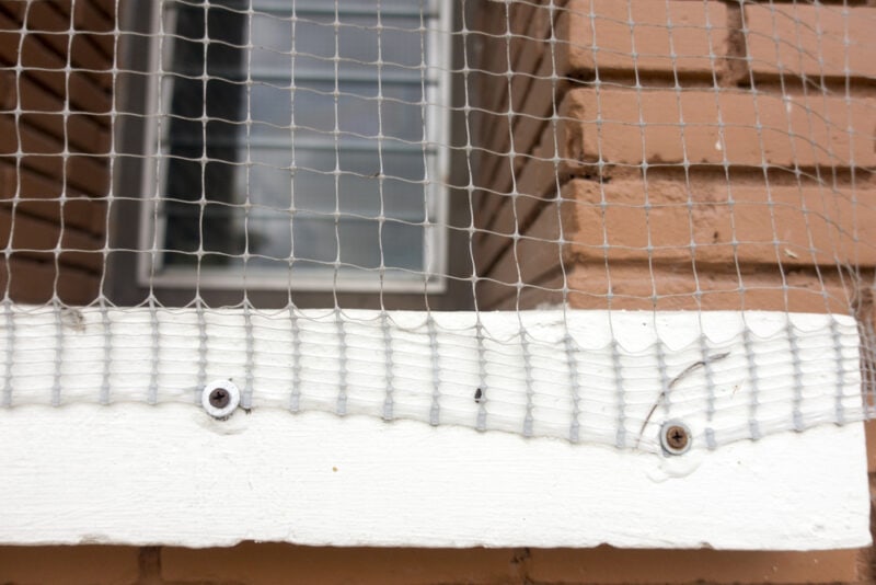 Anti bird netting installation on the window of building