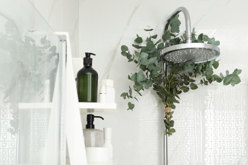Branches with green eucalyptus leaves in shower