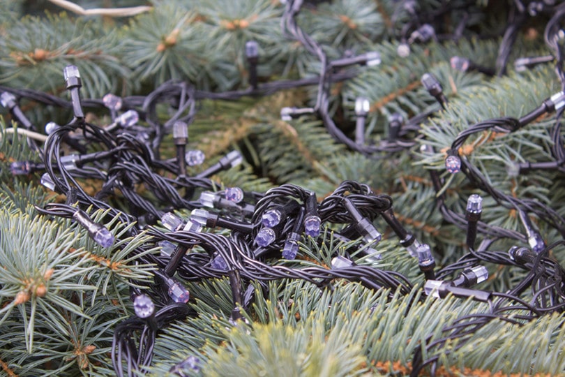 How to Recycle Your Christmas Lights Step by Step Guide House Grail