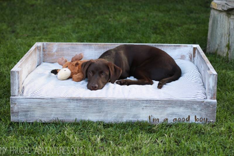 DIY dog bed