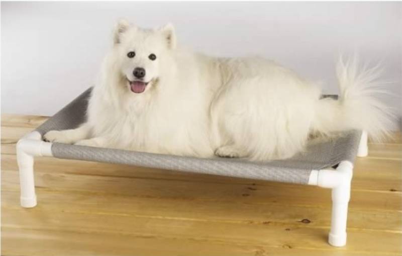 DIY no-sew elevated dog beds out of pvc pipes