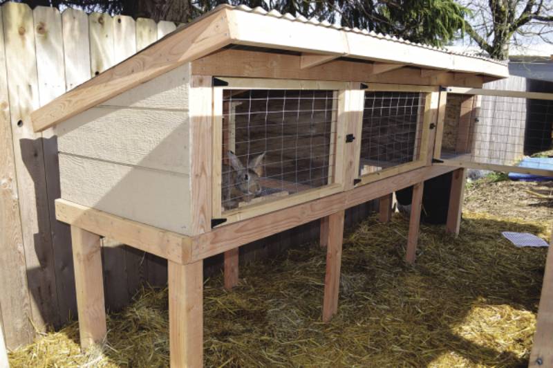 Diy rabbit hutch outlet plans