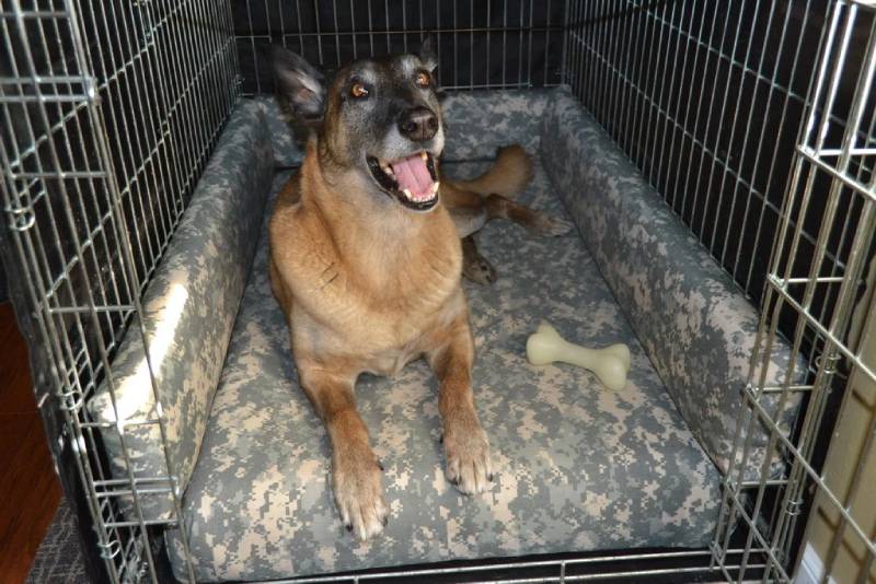 DIY super comfy dog kennel bed
