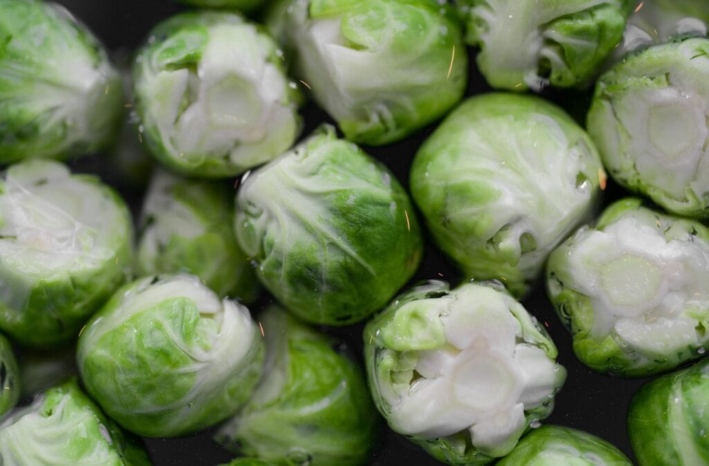 Dagan Brussels Sprout