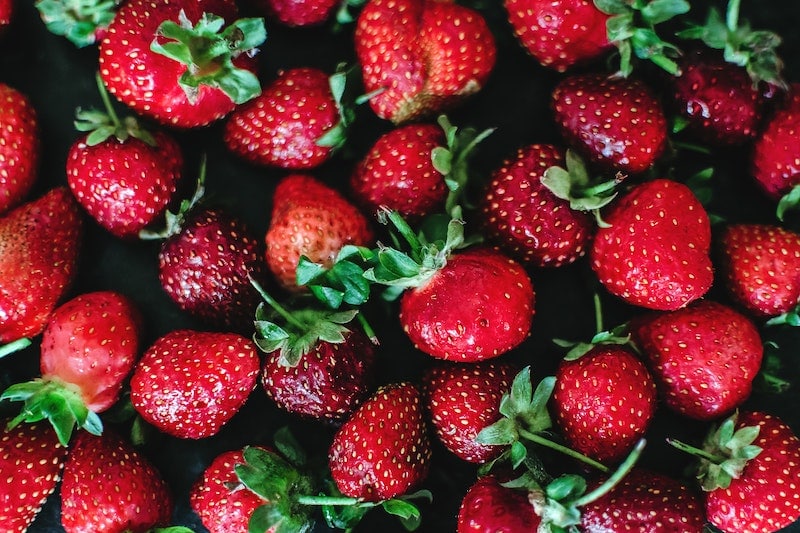 Earliglow strawberry