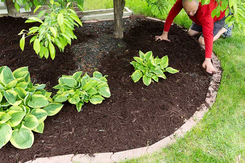 How To Lay Mulch 7 Tips and Ticks House Grail