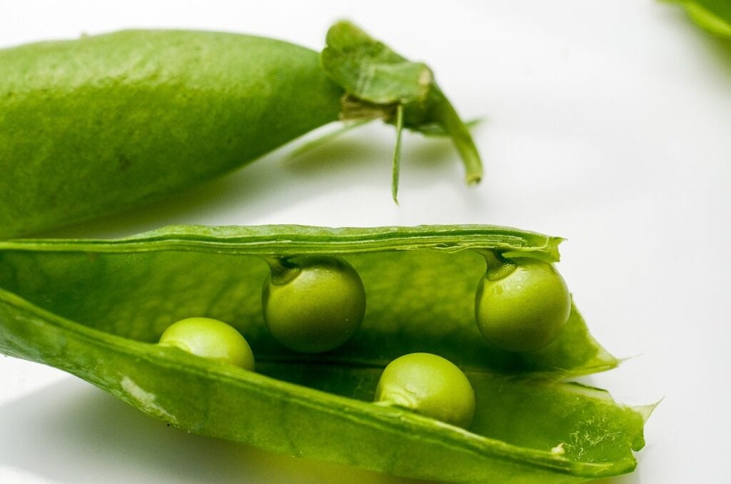 Green beans