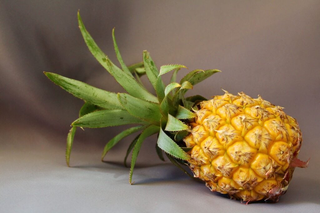 27 Different Types of Pineapples: An Overview (With Pictures) | House Grail