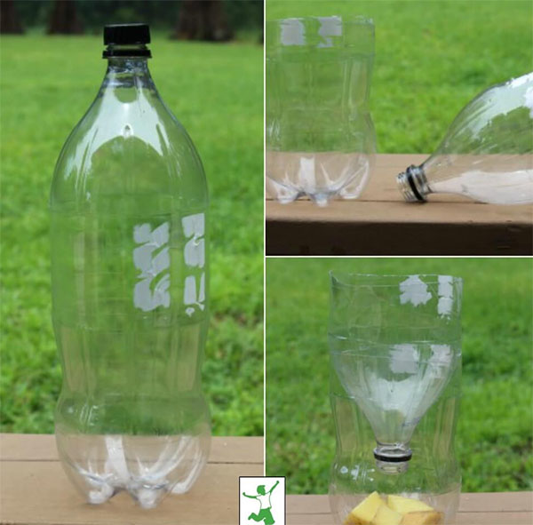 8 Clever And Creative DIY Outdoor Fly Traps With Pictures House Grail   Quick And Easy Homemade Fly Trap 