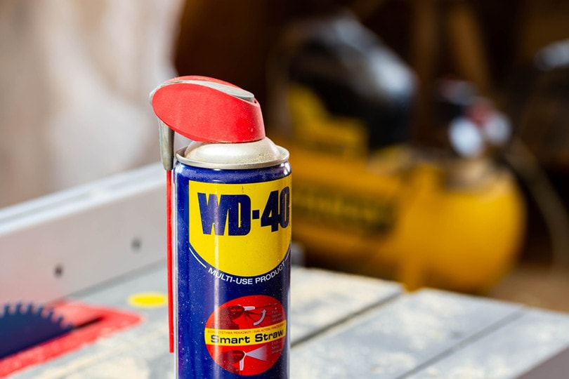 Do you know what WD-40 stands for?