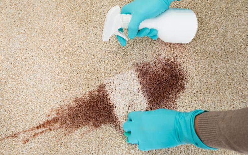 10 Tips on How to Pressure Wash a Rug | House Grail