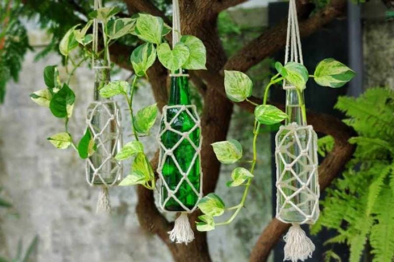 17 DIY Plant Hangers Ideas You Can Try Today With Pictures House Grail   DIY Knotted Bottles Easy Hanging Garden 