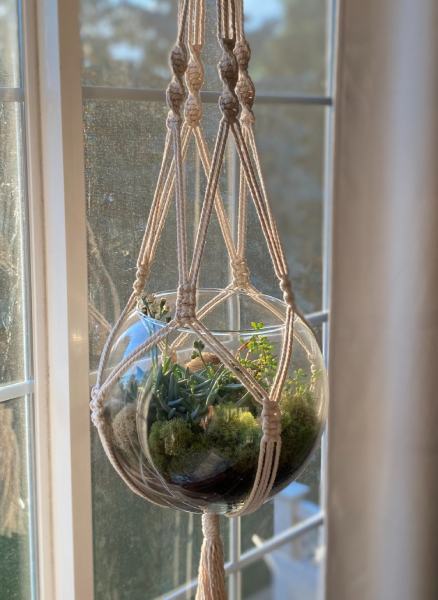 DIY Macrame Hanging Terrarium