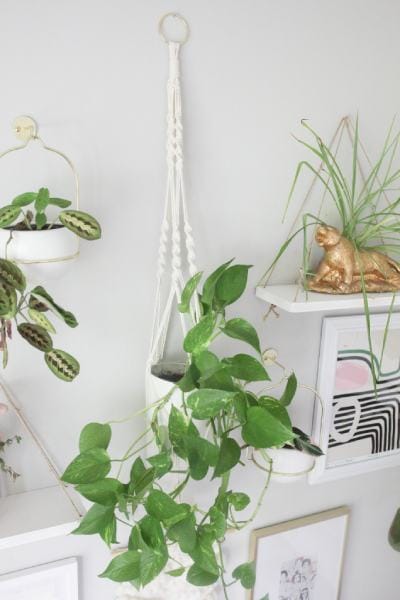DIY Macrame Plant Hanger Tutorial