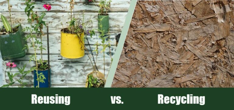 Reusing Vs Recycling Differences Environmental Impact House Grail Reusing Vs Recycling Differences Environmental Impact House Grail