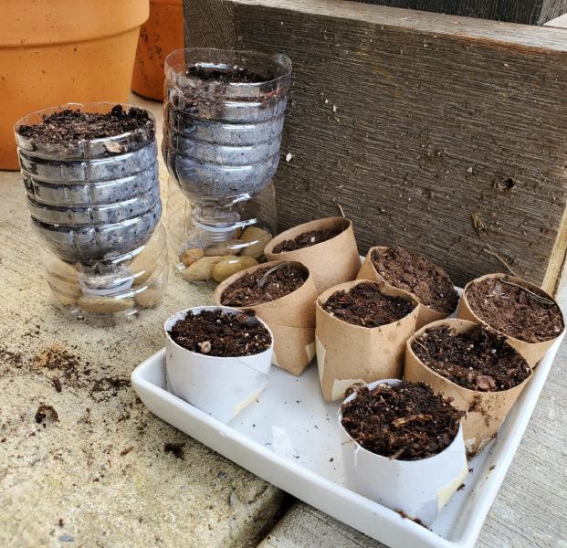Seed Planters – Recycling Project for Kids