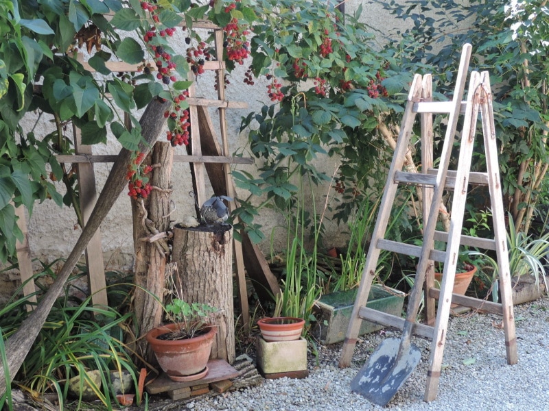 folding ladder