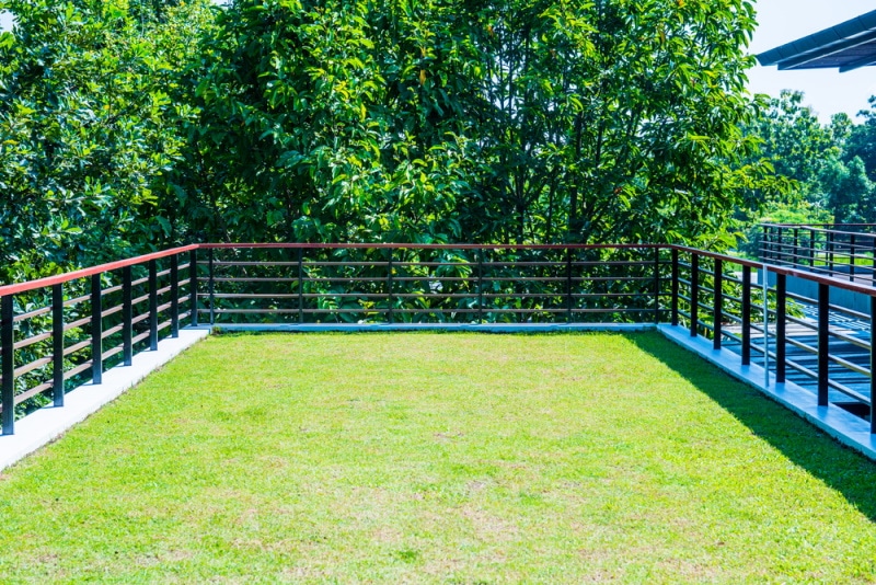 roof garden