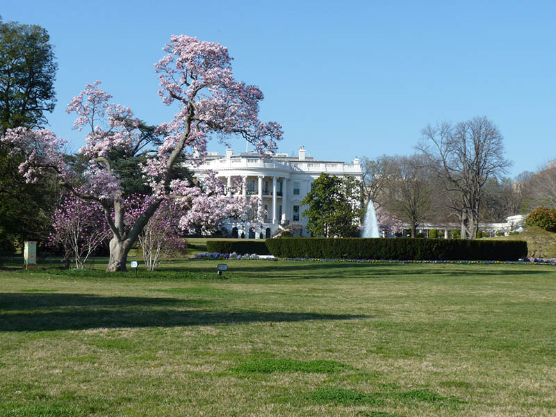 southern facade of the white house