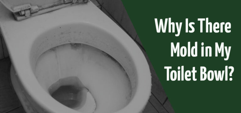 why-is-there-mold-in-my-toilet-bowl-6-likely-reasons-house-grail