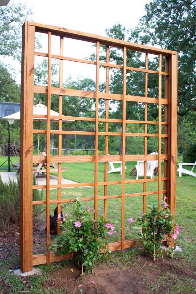 MODERN DIY GARDEN TRELLIS
