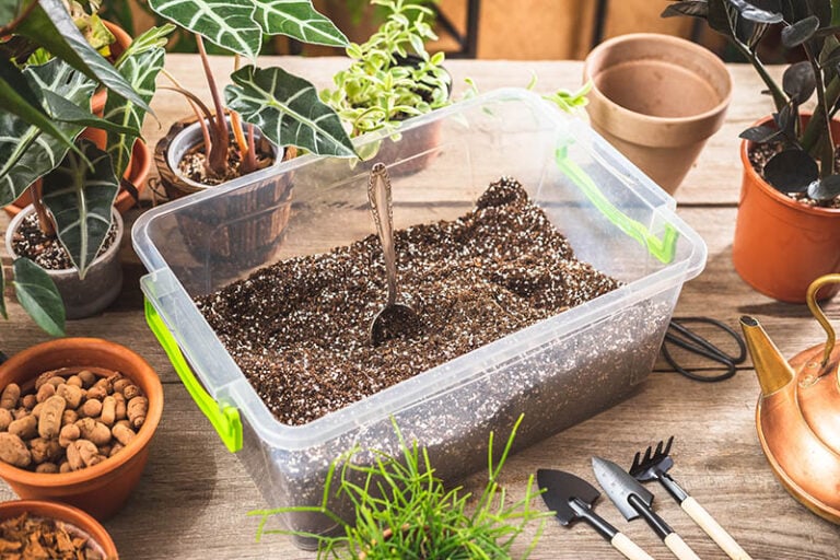 How To Store Potting Soil – 5 Tips & Tricks | House Grail