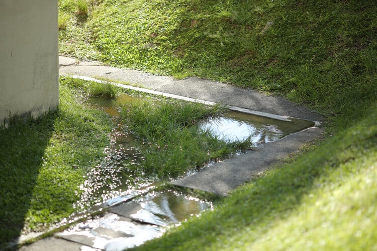 septic tank at residency