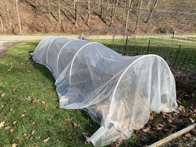 DIY Mini Greenhouse