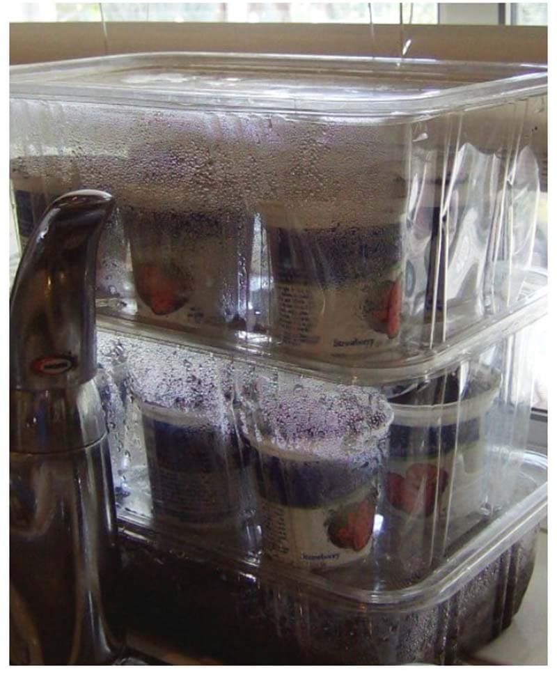 DIY Mini Greenhouse