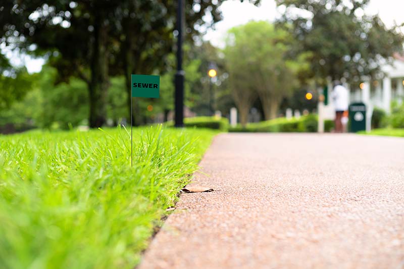 green utility flag on garden