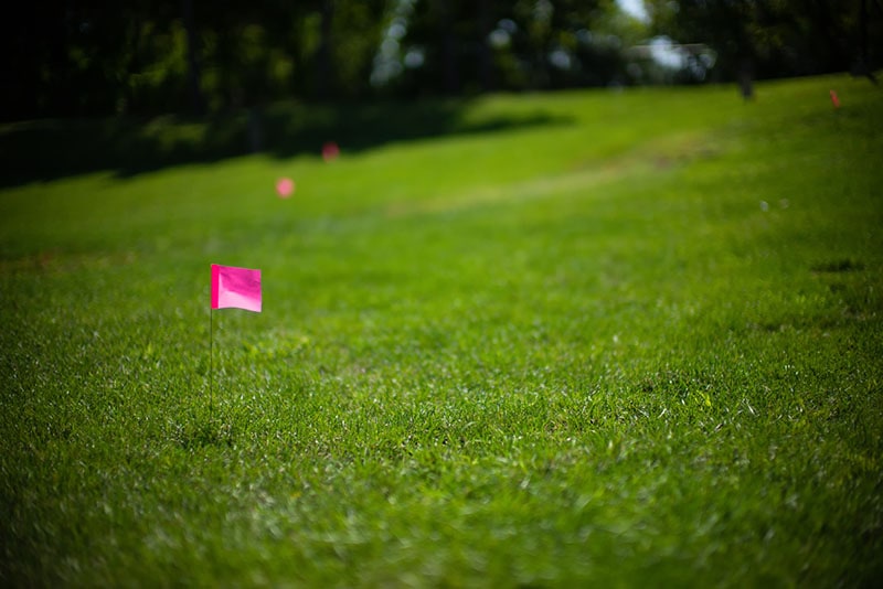 pink utility flag