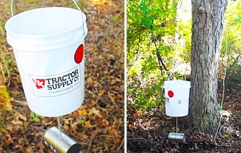 DIY 5-Gallon Bucket Deer Feeder
