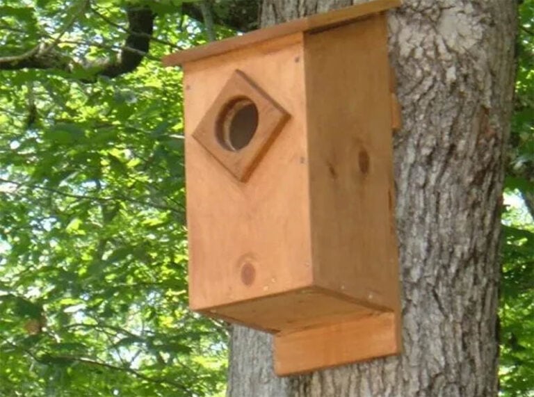 11 Free DIY Barn Owl Box Plans You Can Make Today (With Pictures ...