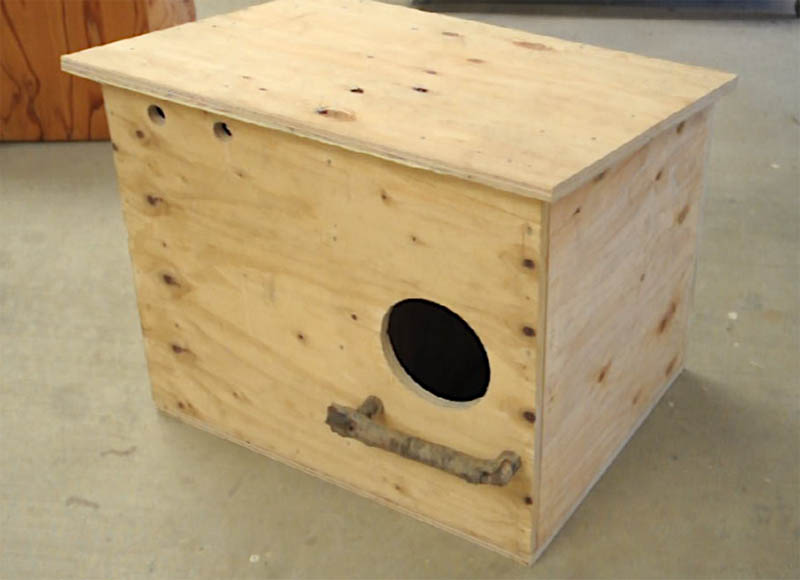 11 Free DIY Barn Owl Box Plans You Can Make Today (With Pictures ...