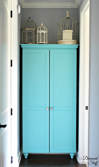 diy aqua storage cabinet
