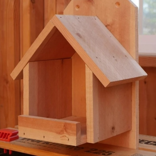 diy cardinal bird house