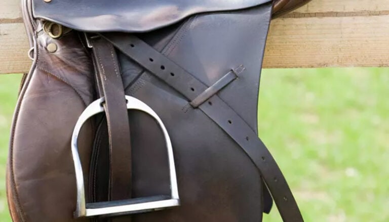 10 DIY Saddle Rack Plans You Can Build Today (Free & Paid) | House Grail