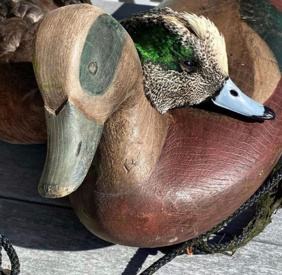 diy duck decoy pattern