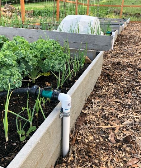 10 DIY Garden Irrigation System Plans You Can Make Today (With Pictures ...