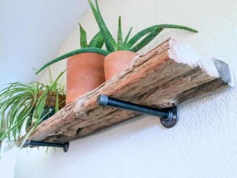 diy live edge driftwood shelf for under $20