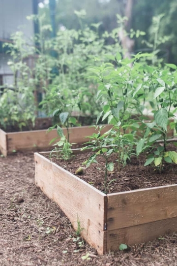 diy raised garden bed for cheap
