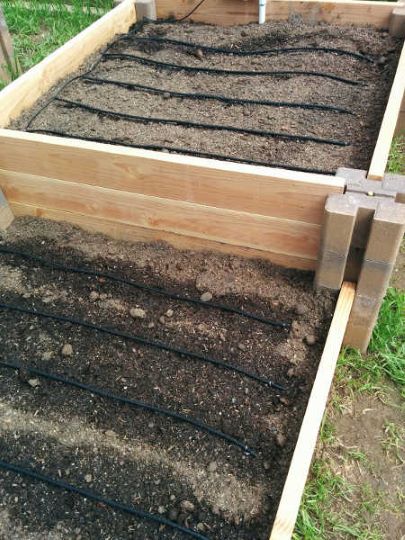 10 DIY Garden Irrigation System Plans You Can Make Today (With Pictures ...