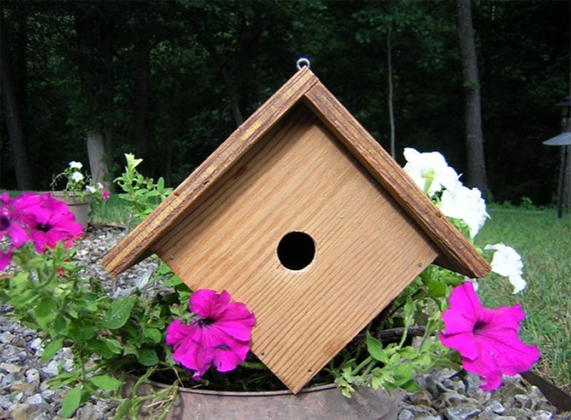 15-diy-wren-bird-house-plans-you-can-build-today-with-pictures-house-grail