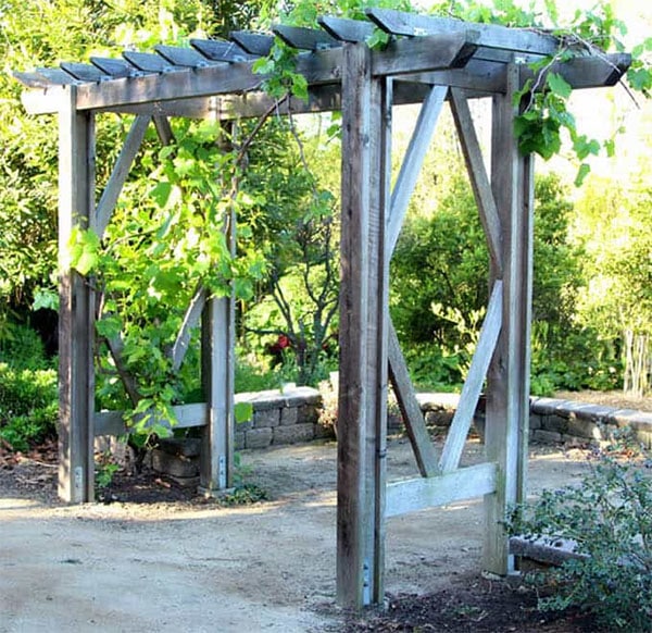 Grape Arbor Plan
