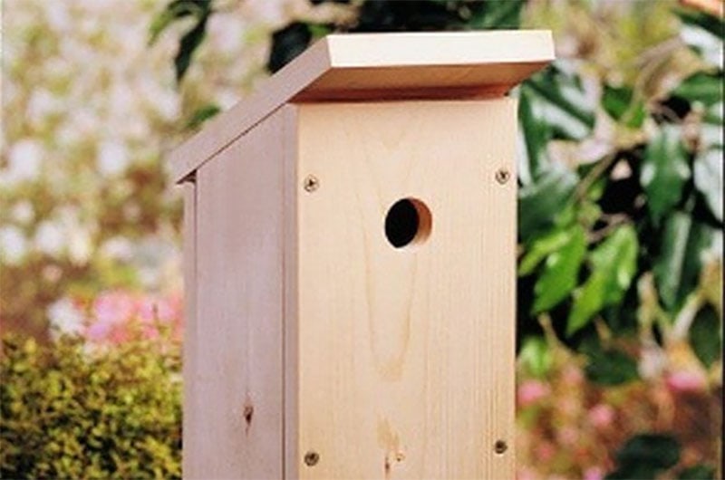 One-Board DIY Wren Birdhouse