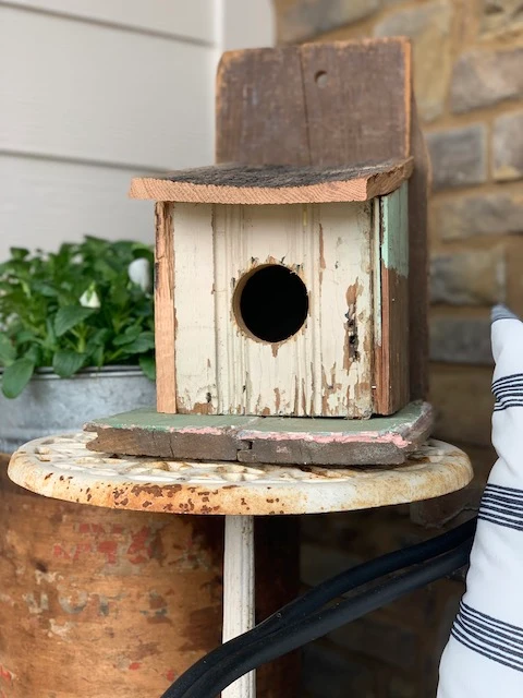 diy birdhouse with camera