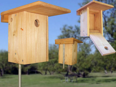 Xbox Bluebird House by Nest box builder 