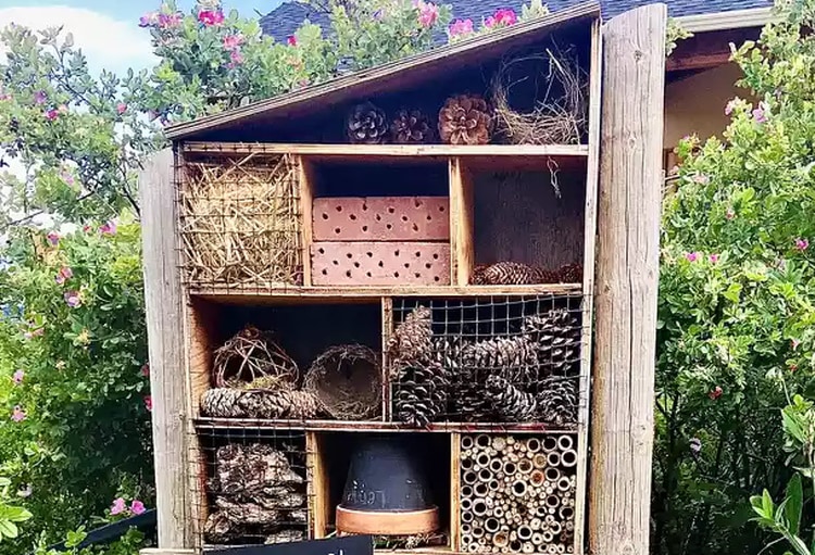 DIY Bee House